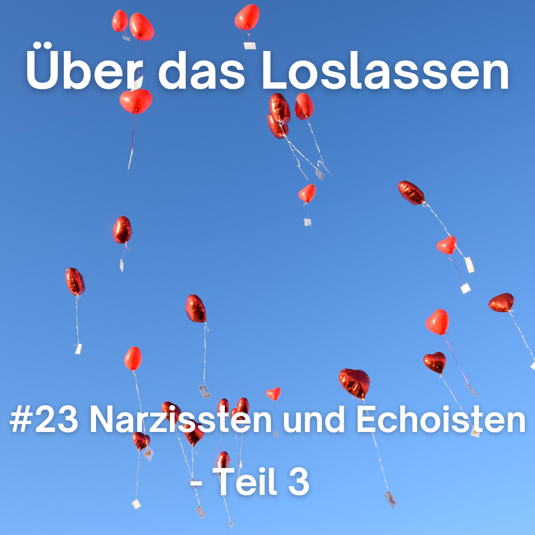 Cover_narzissten3